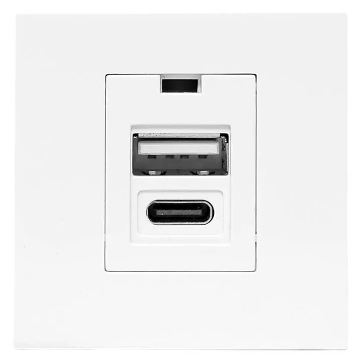 Розетка USB A+C, 2.1А, 2 гнезда, без индикатора, белая EKF Розетка USB A+C, 2.1А, 2 гнезда, без индикатора, белая EKF