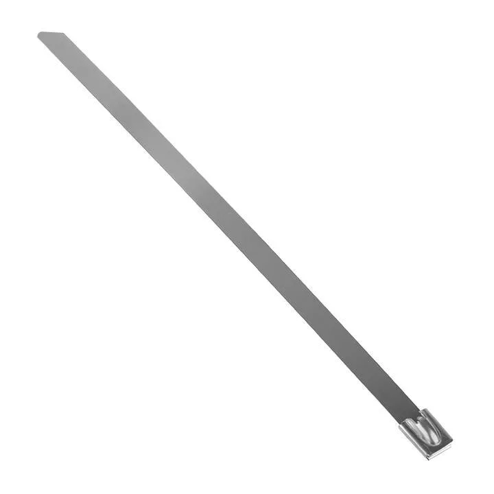 Хомут AISI 304 из нержавеющей стали, 7.9x200 (10 шт.) FlexLock PROxima Хомут AISI 304 из нержавеющей стали, 7.9x200 (10 шт.) FlexLock PROxima