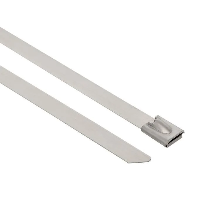 Хомут AISI 316 из нержавеющей стали, 7.9x200 (100 шт.) FlexLock PROxima Хомут AISI 316 из нержавеющей стали, 7.9x200 (100 шт.) FlexLock PROxima